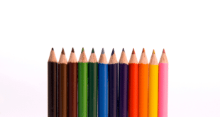 Color Combination For A Logo